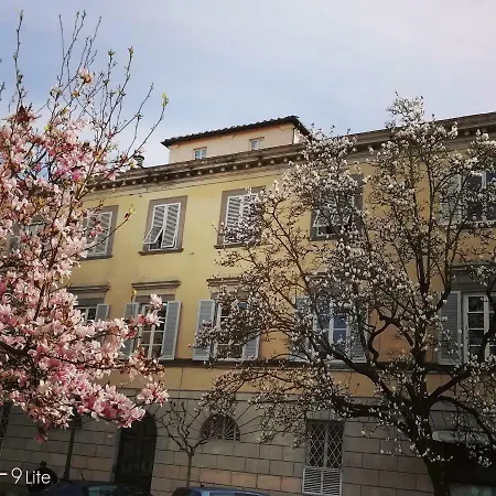 Vistalucca *